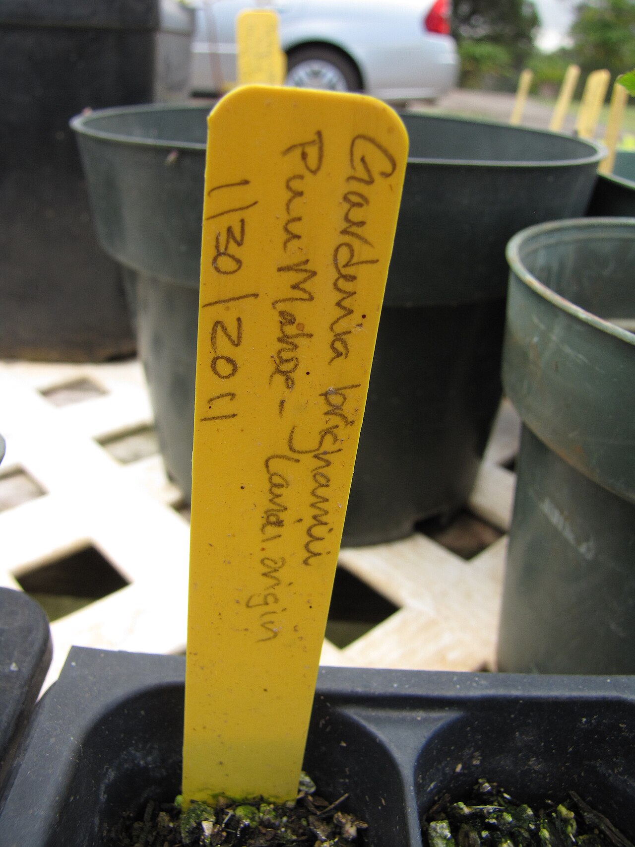 Label Tanaman dan Catatan Tanggal